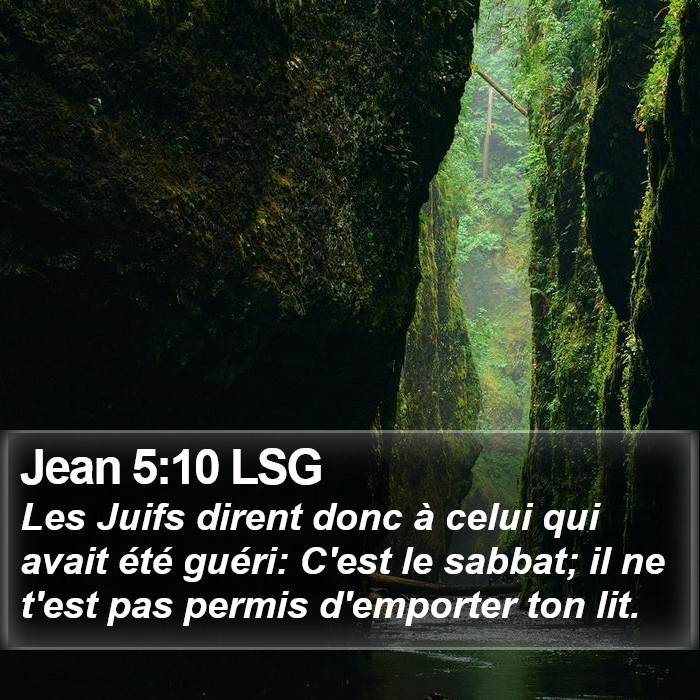 Jean 5:10 LSG Bible Study