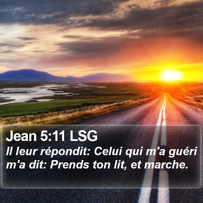 Jean 5:11 LSG Bible Study