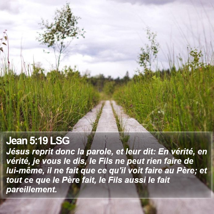 Jean 5:19 LSG Bible Study