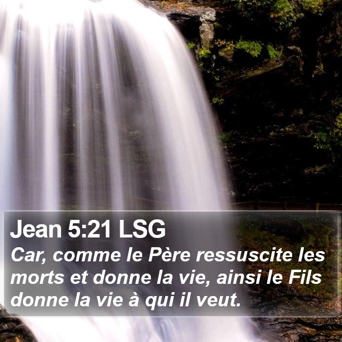 Jean 5:21 LSG Bible Study