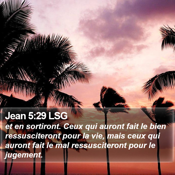 Jean 5:29 LSG Bible Study