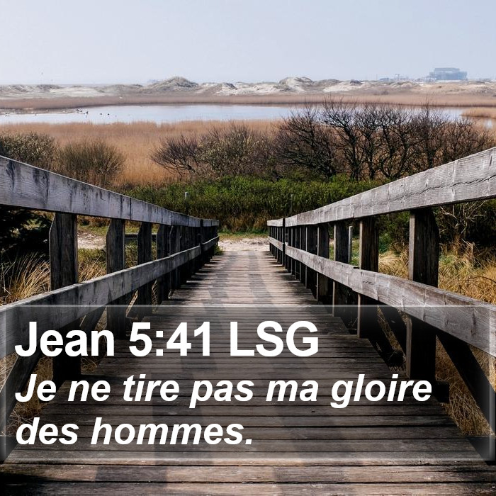 Jean 5:41 LSG Bible Study