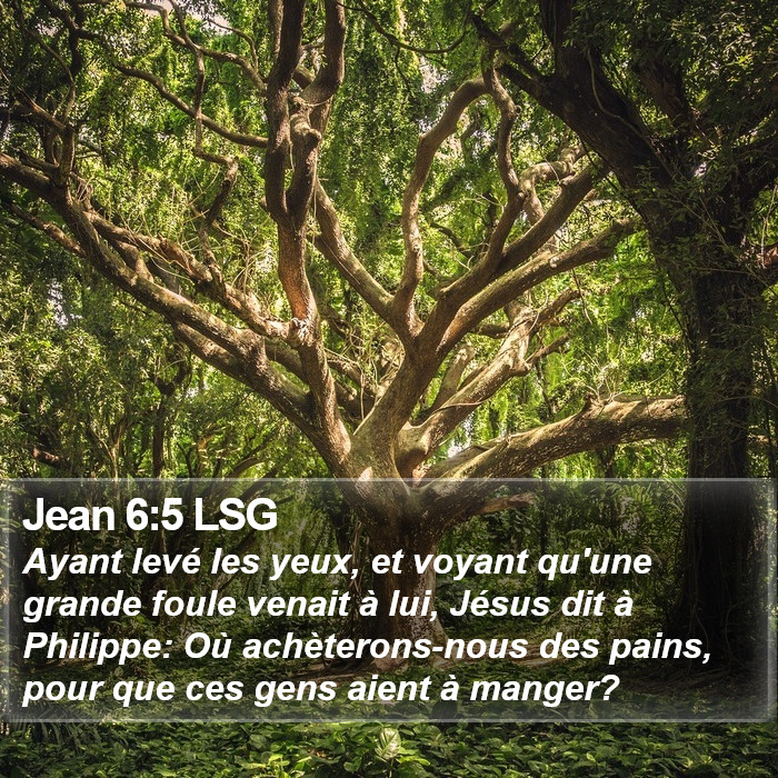 Jean 6:5 LSG Bible Study