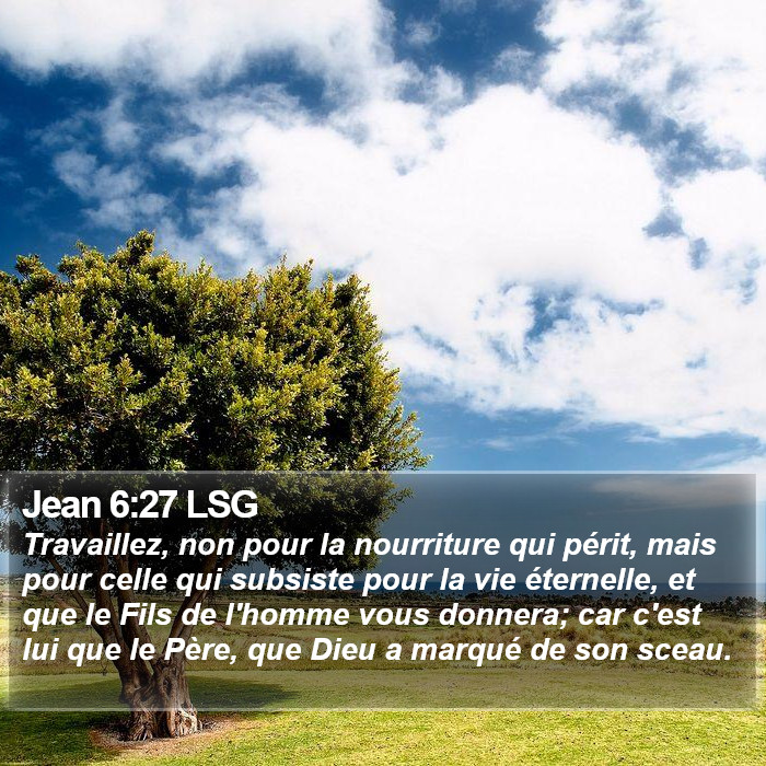 Jean 6:27 LSG Bible Study