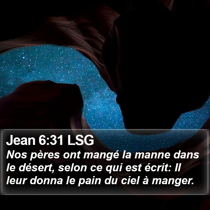 Jean 6:31 LSG Bible Study