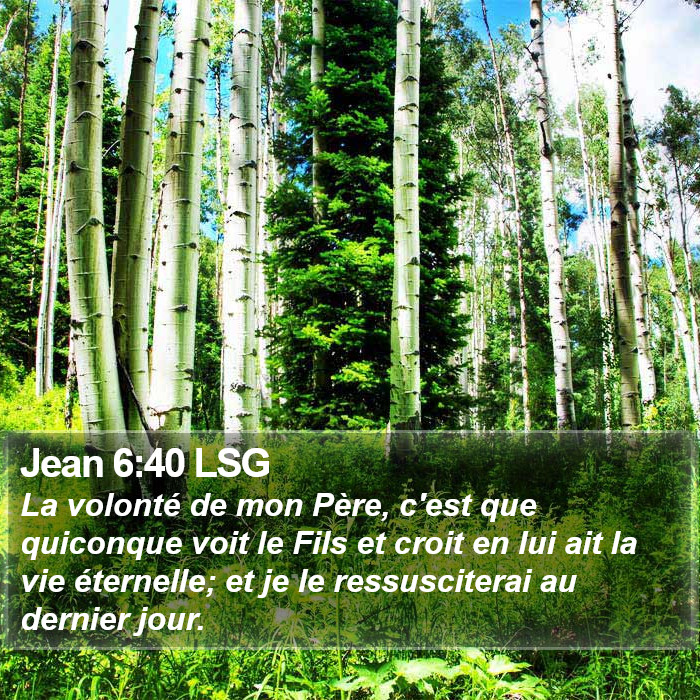 Jean 6:40 LSG Bible Study