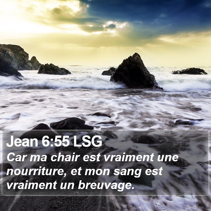 Jean 6:55 LSG Bible Study