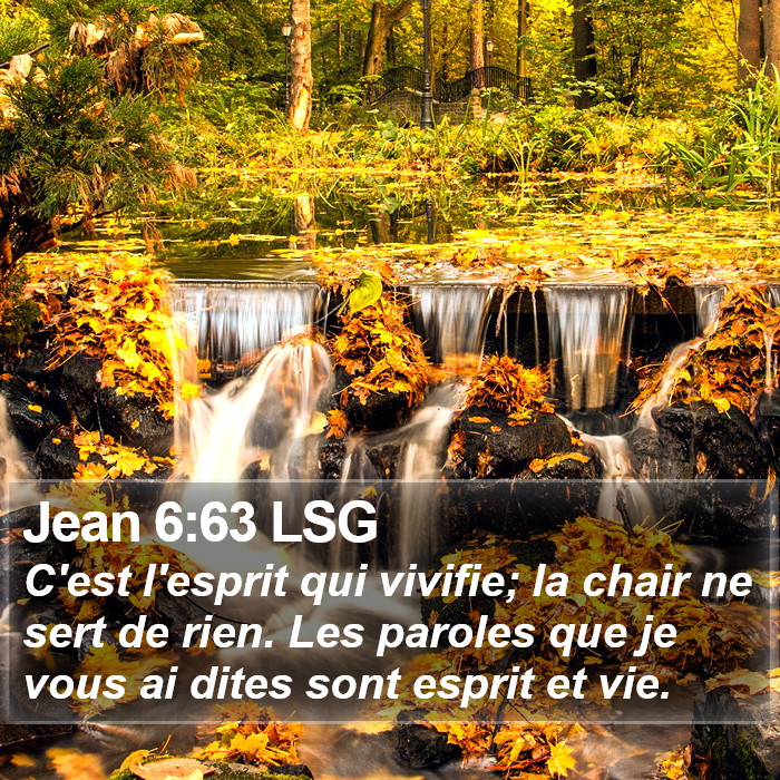 Jean 6:63 LSG Bible Study