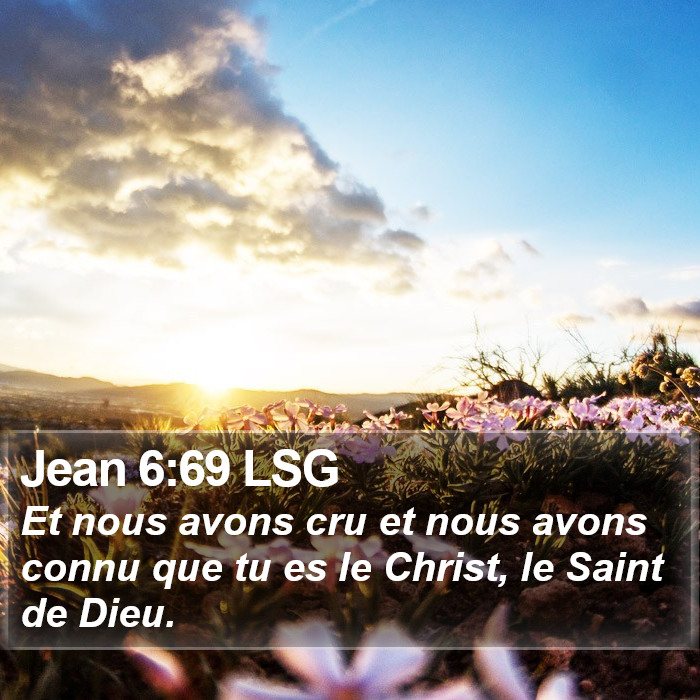 Jean 6:69 LSG Bible Study