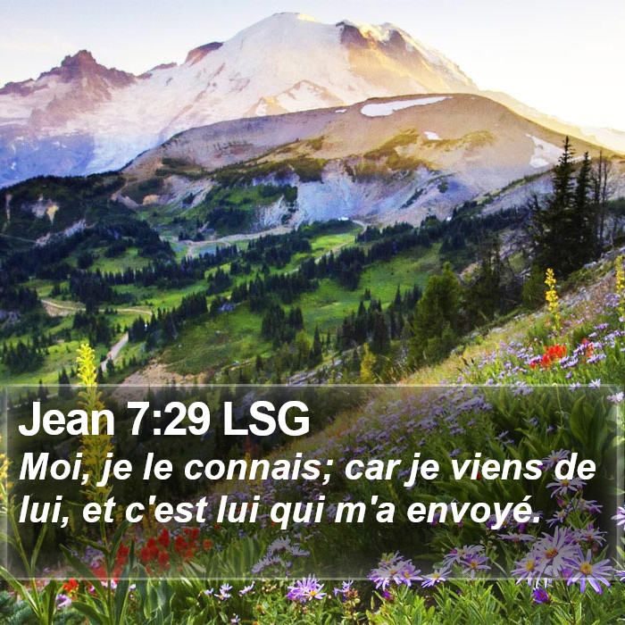 Jean 7:29 LSG Bible Study