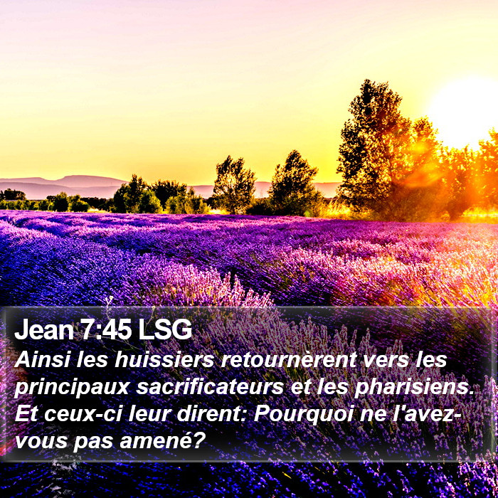 Jean 7:45 LSG Bible Study