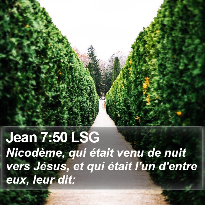 Jean 7:50 LSG Bible Study