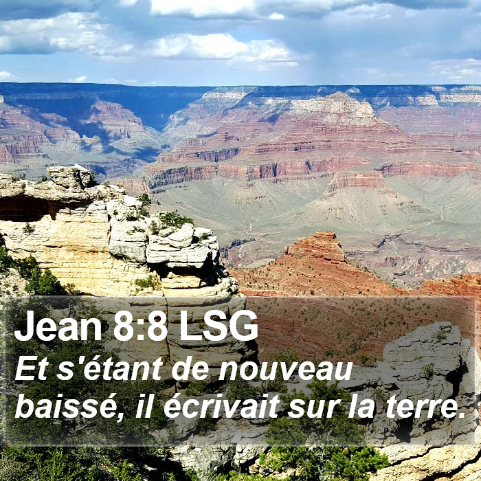 Jean 8:8 LSG Bible Study