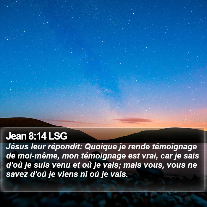 Jean 8:14 LSG Bible Study