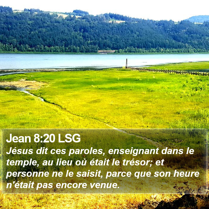 Jean 8:20 LSG Bible Study