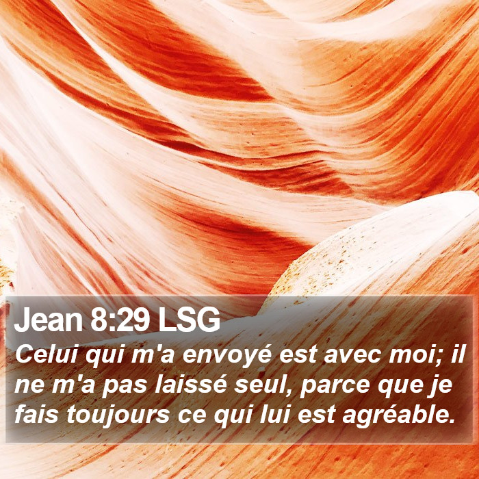 Jean 8:29 LSG Bible Study