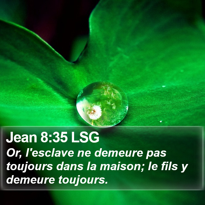 Jean 8:35 LSG Bible Study