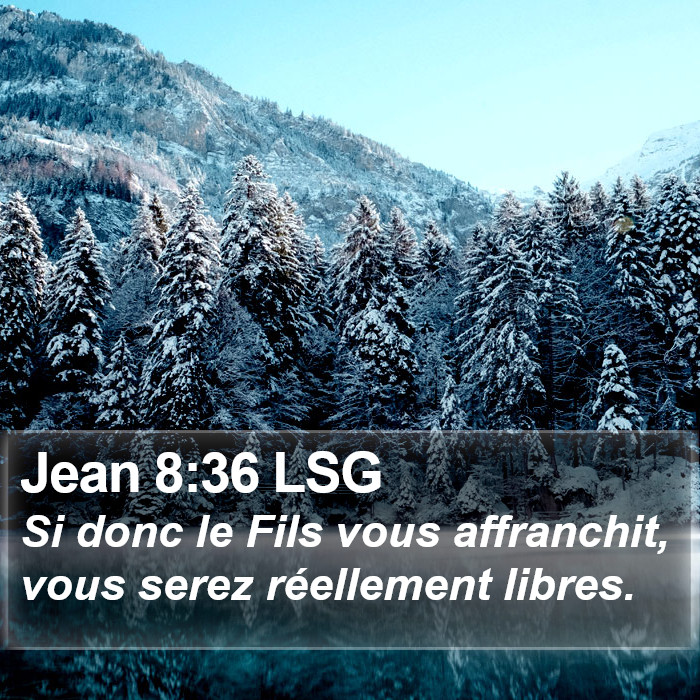 Jean 8:36 LSG Bible Study