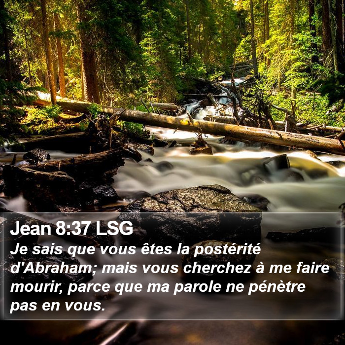 Jean 8:37 LSG Bible Study