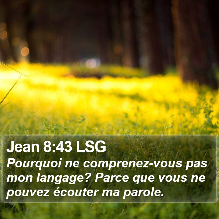 Jean 8:43 LSG Bible Study