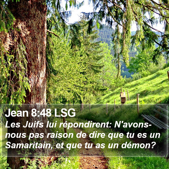 Jean 8:48 LSG Bible Study