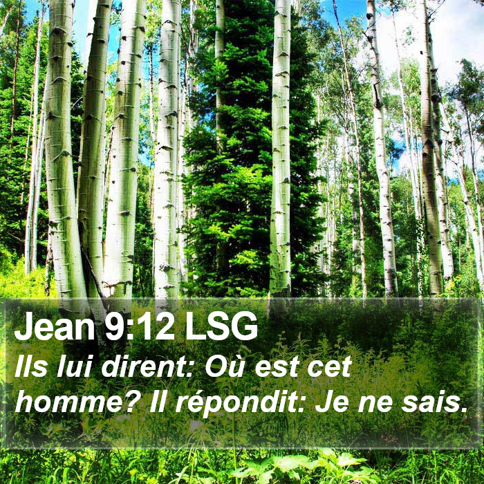 Jean 9:12 LSG Bible Study