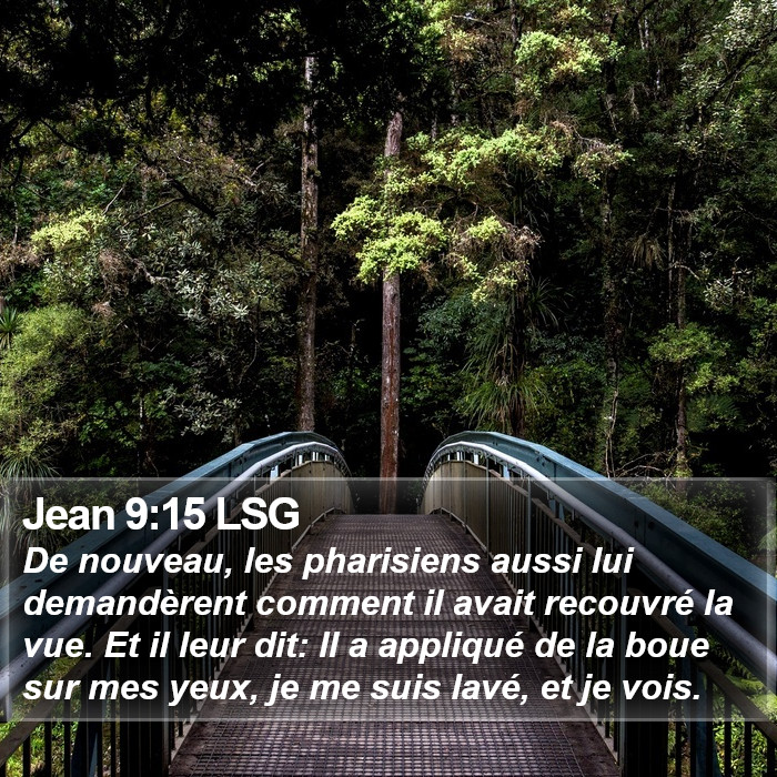 Jean 9:15 LSG Bible Study