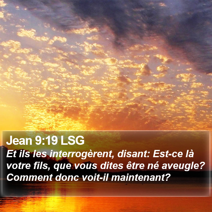 Jean 9:19 LSG Bible Study