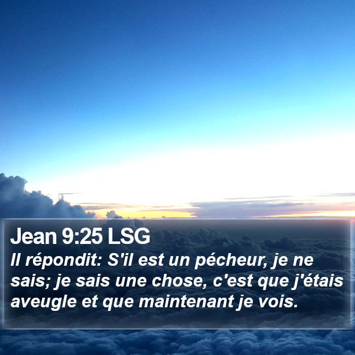 Jean 9:25 LSG Bible Study