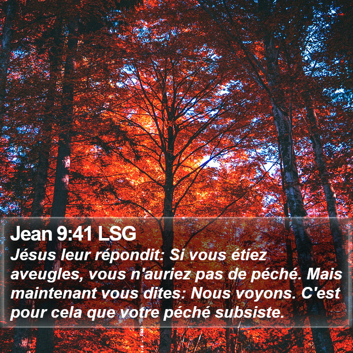 Jean 9:41 LSG Bible Study