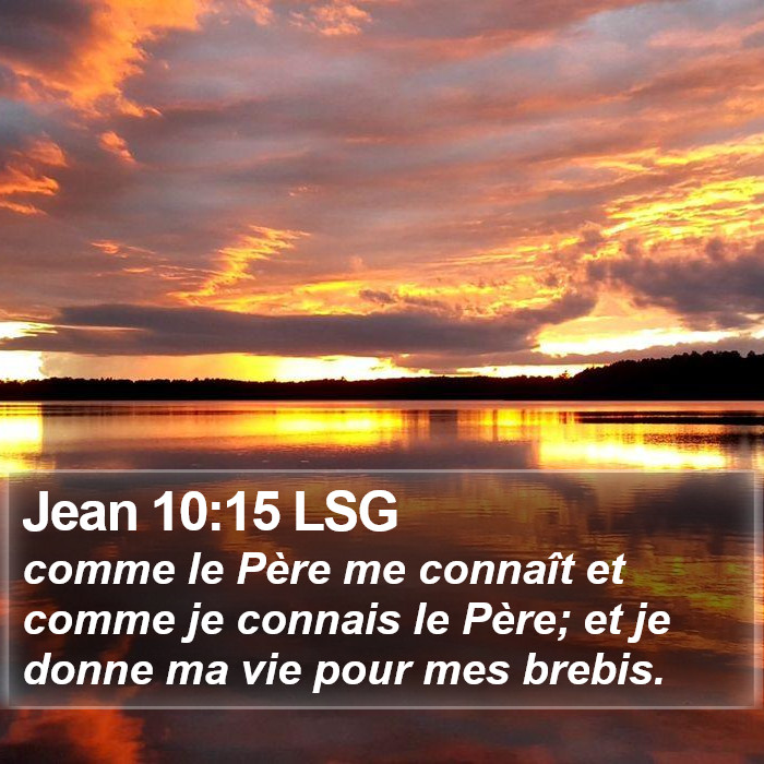 Jean 10:15 LSG Bible Study