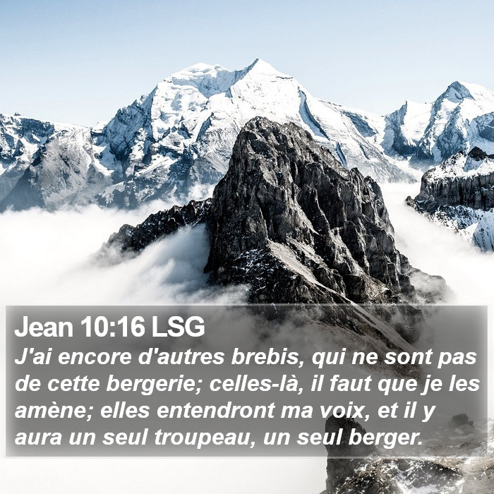 Jean 10:16 LSG Bible Study