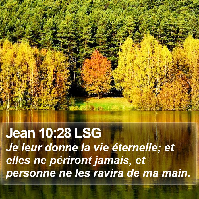 Jean 10:28 LSG Bible Study