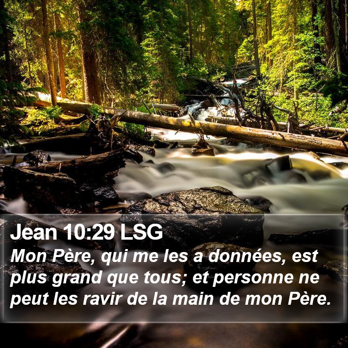 Jean 10:29 LSG Bible Study