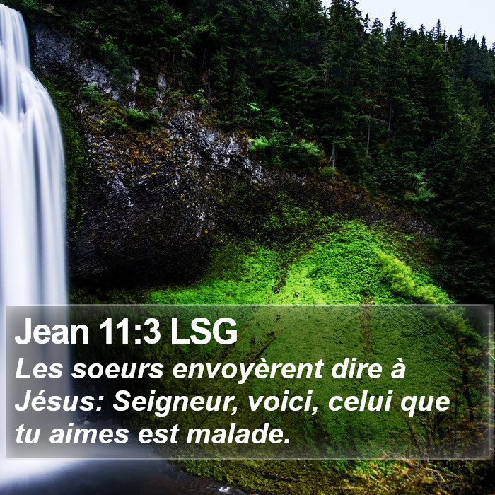 Jean 11:3 LSG Bible Study