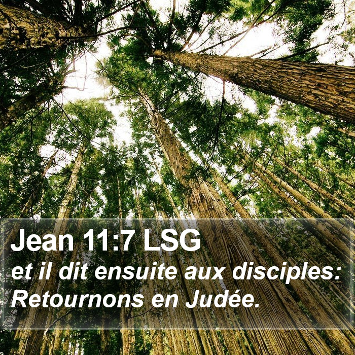 Jean 11:7 LSG Bible Study