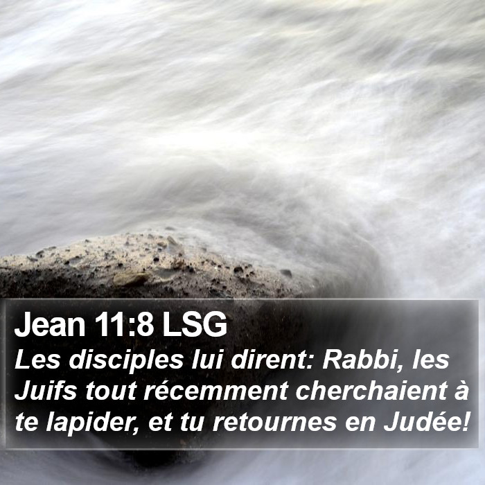 Jean 11:8 LSG Bible Study