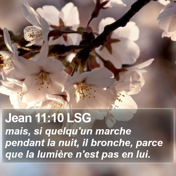 Jean 11:10 LSG Bible Study