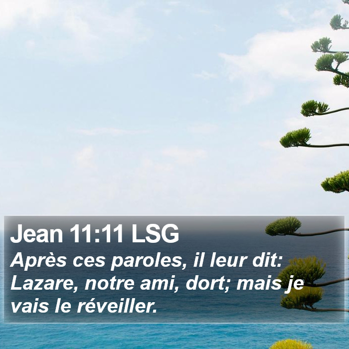 Jean 11:11 LSG Bible Study