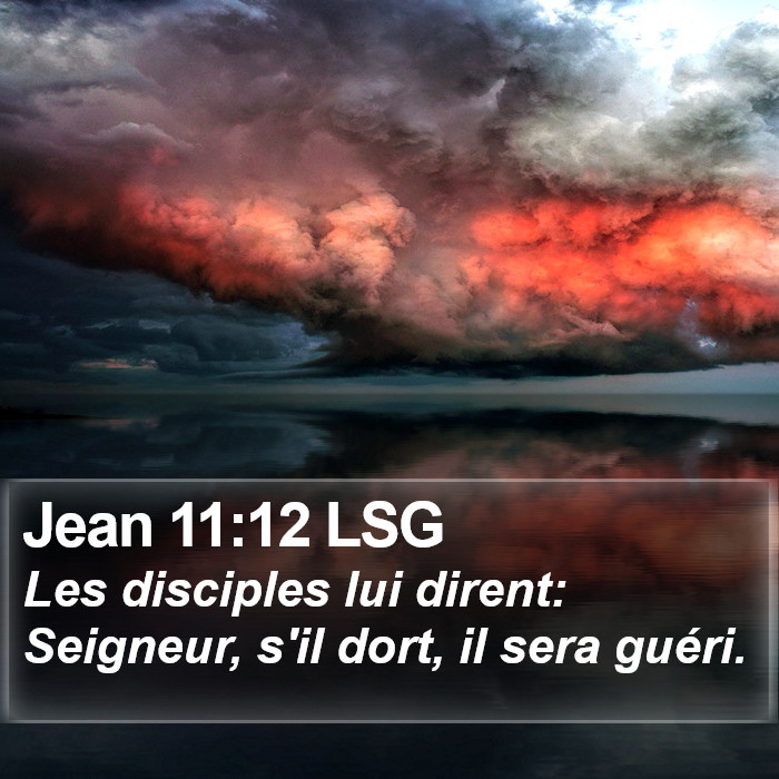 Jean 11:12 LSG Bible Study