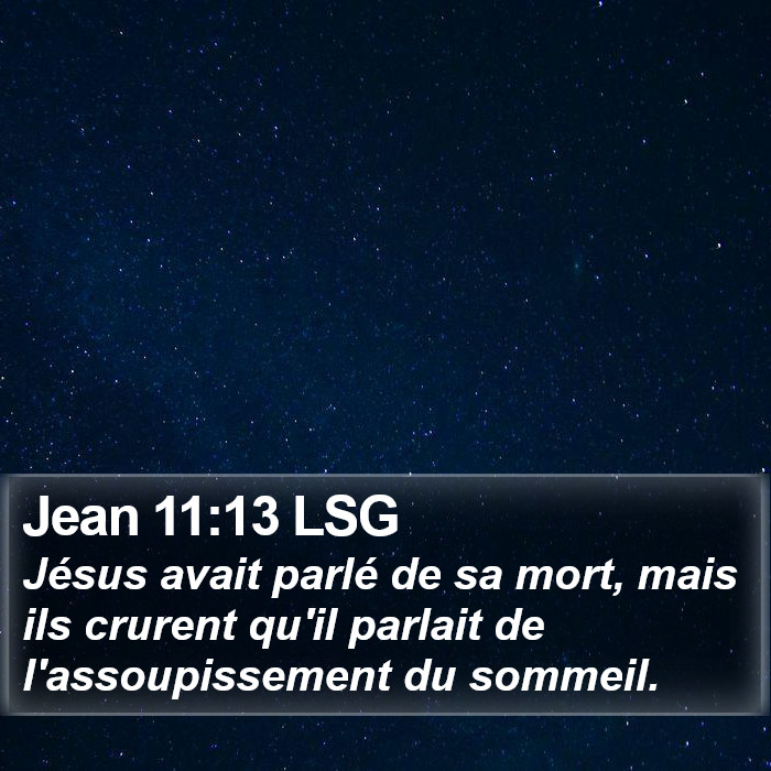 Jean 11:13 LSG Bible Study