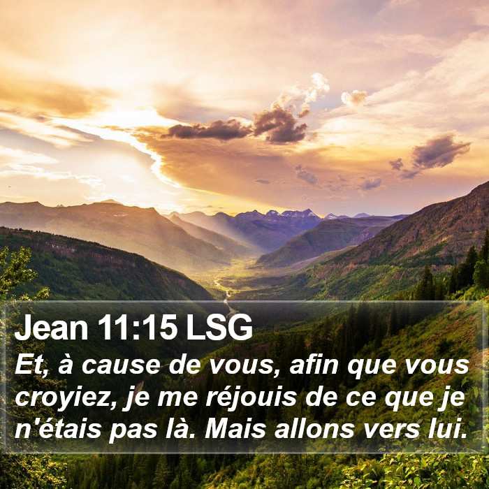 Jean 11:15 LSG Bible Study