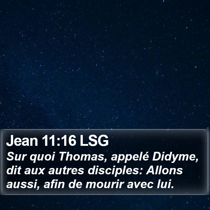 Jean 11:16 LSG Bible Study