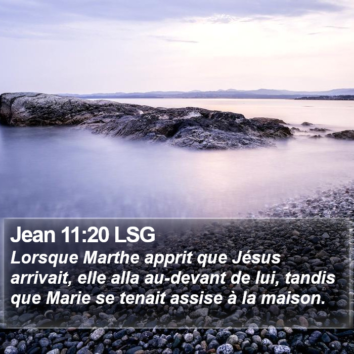 Jean 11:20 LSG Bible Study