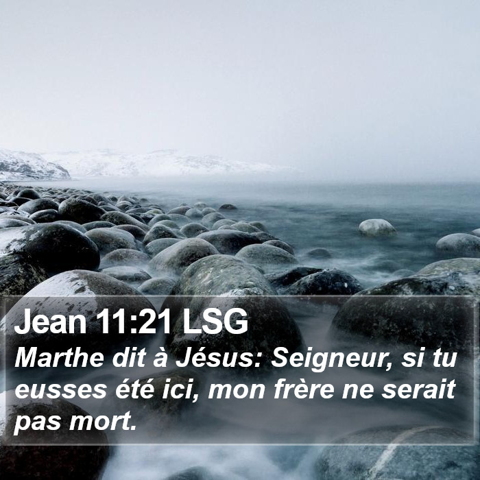 Jean 11:21 LSG Bible Study