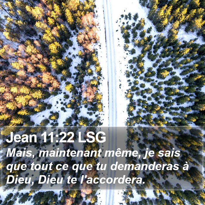 Jean 11:22 LSG Bible Study