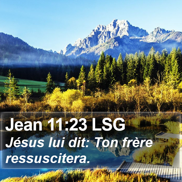 Jean 11:23 LSG Bible Study