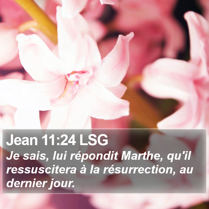 Jean 11:24 LSG Bible Study