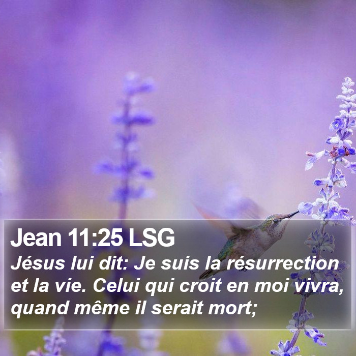 Jean 11:25 LSG Bible Study