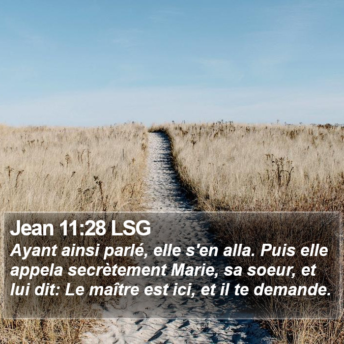 Jean 11:28 LSG Bible Study